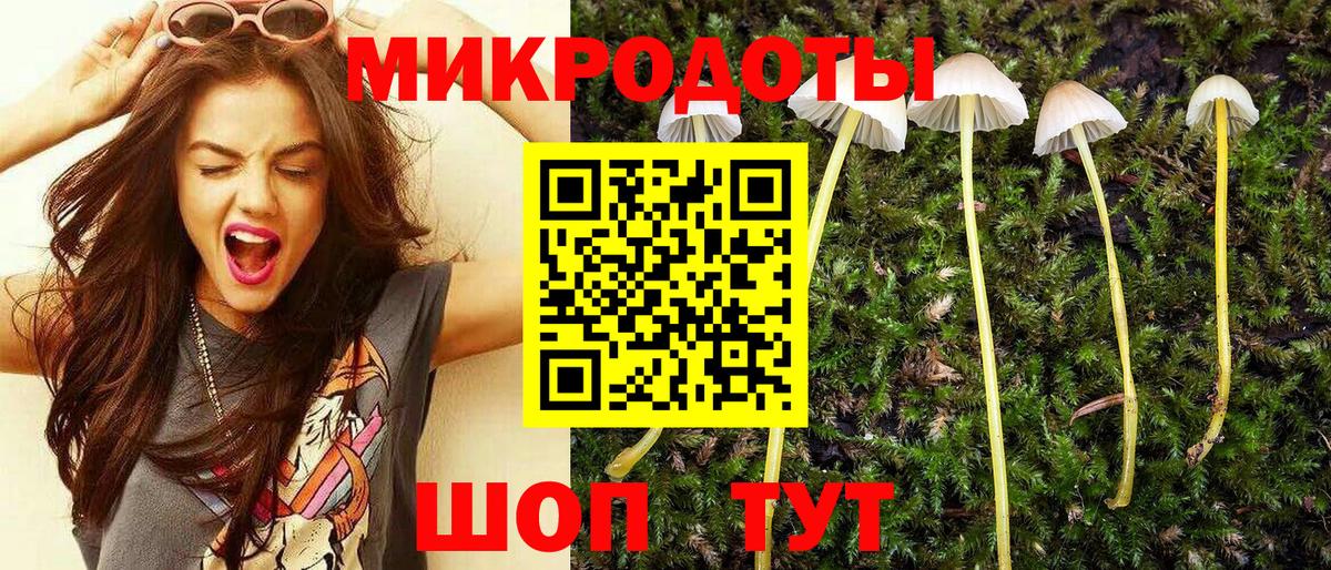 Псилоцибиновые грибы прущие грибы  Псилоцибиновые грибы прущие грибы  Вход с VPN  Рязань 